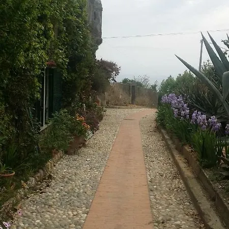Beautiful 2